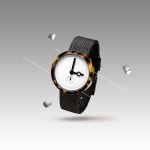 aark collective classictortoise