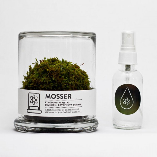 mosser terrarium