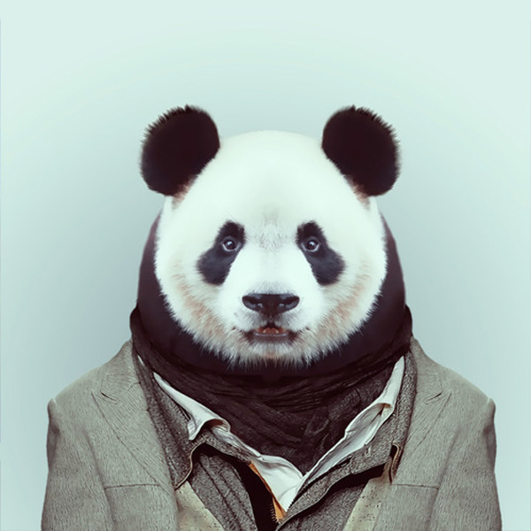 zoo portraits by yago partal