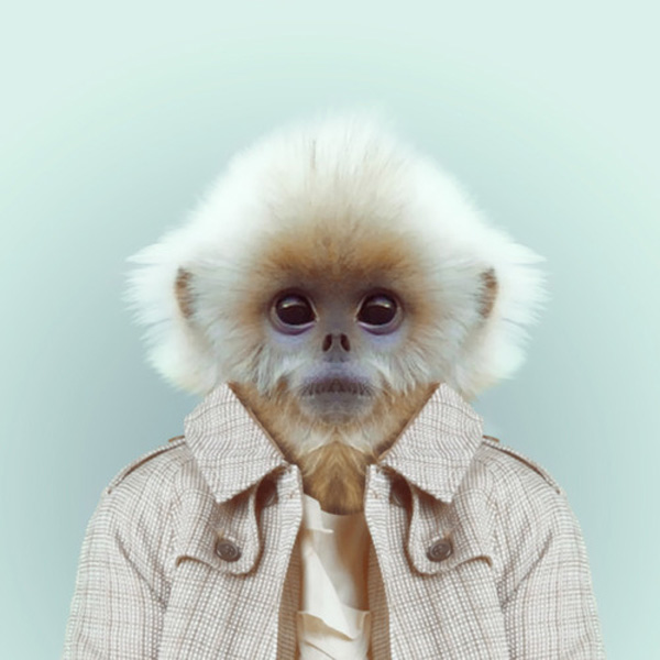 zoo portraits by yago partal