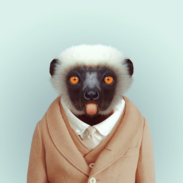 zoo portraits by yago partal