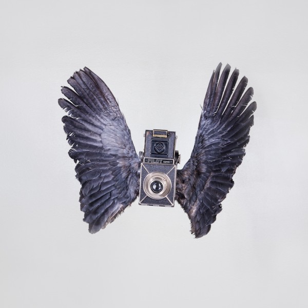 birds of aperture paul octavious