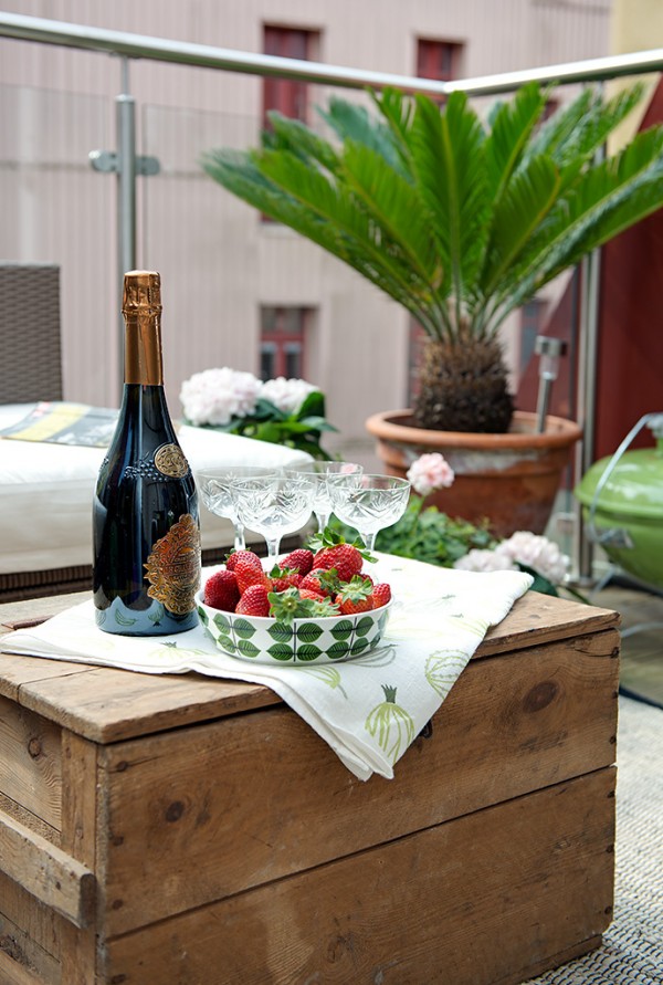 charming swedish apartment Champaign and Strawberries