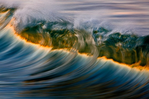 david orias california waves