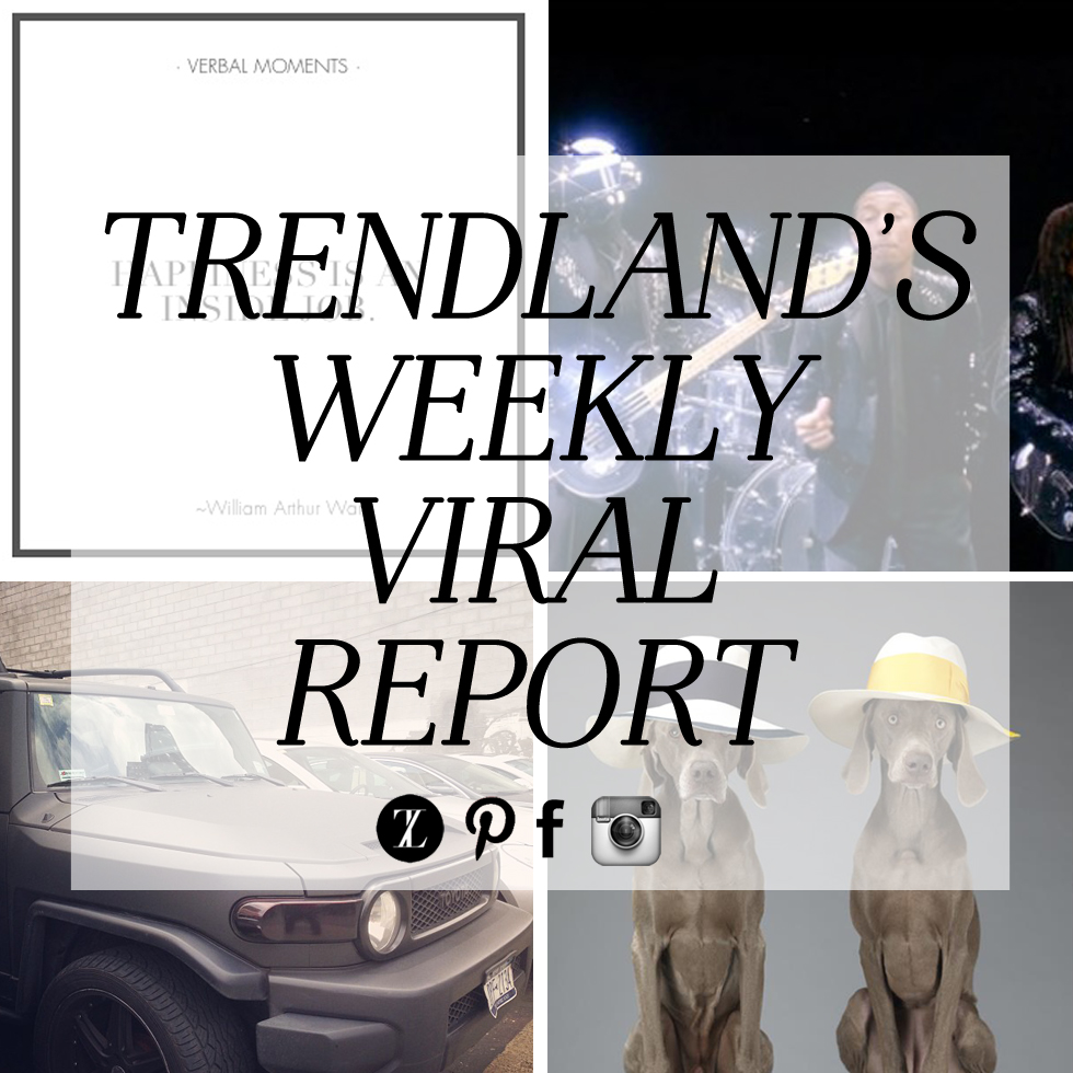 weekly viral report card