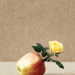 historical plant still lifes byggstudio