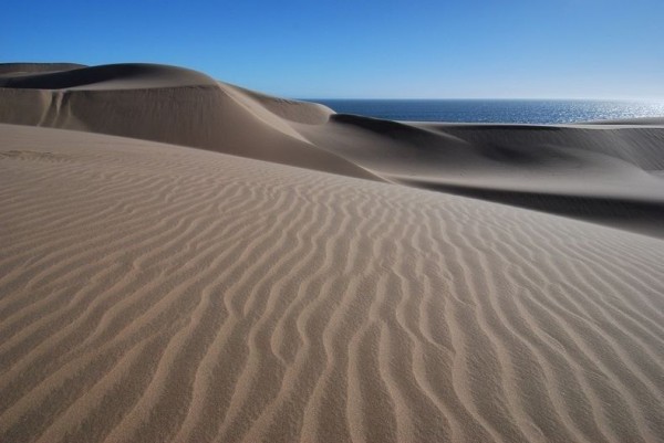 namib desert photography