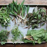 A Visit to the Bedford Post Inn