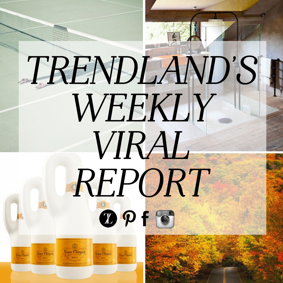 TRENDLANDS WEEKLY VIRAL REPORT