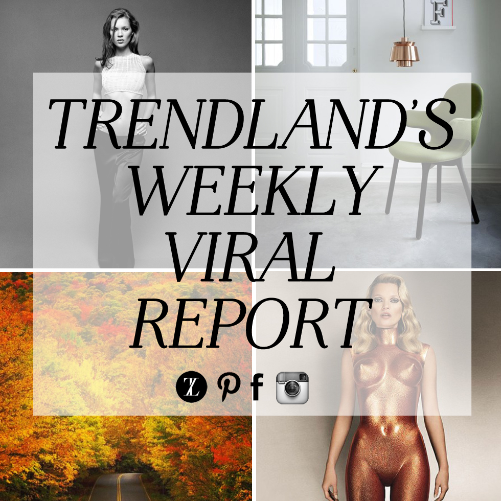 TRENDLANDS WEEKLY VIRAL REPORT