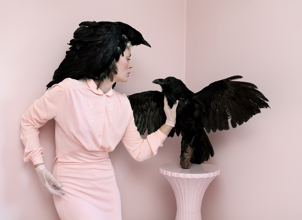 Anja Niemi_Starlets_The Taxidermist