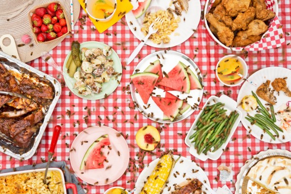 Luciano and Claudia Ficca 1 Luciano and Claudia Ficca