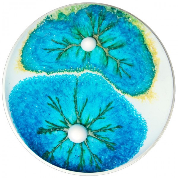 petri dish painting klari reis