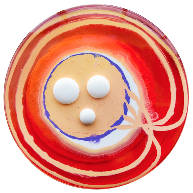 petri dish painting klari reis