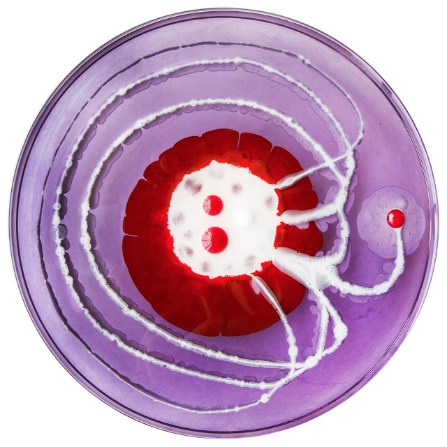 petri-dish-painting-klari-reis-10 petri dish painting klari reis