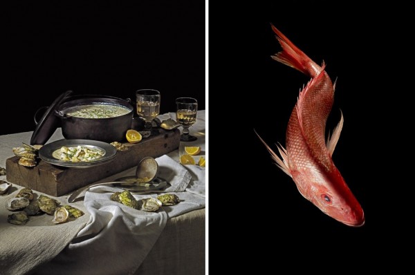 zachary zavislak food photography