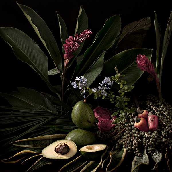 tropical arrangements rafael dalo