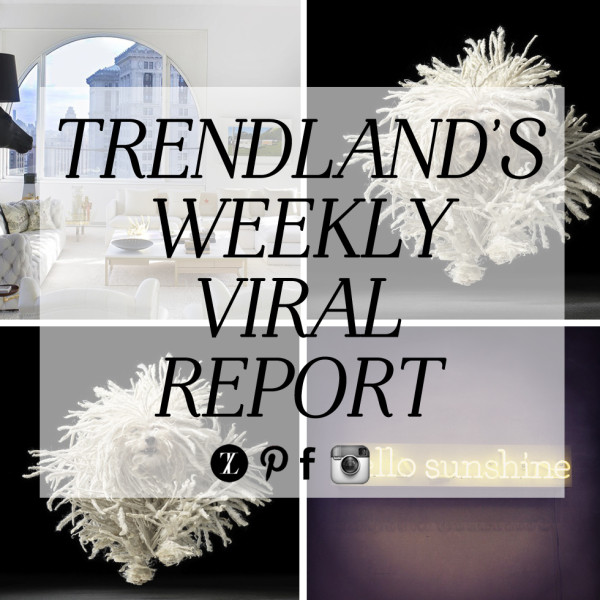 weekly viral report card