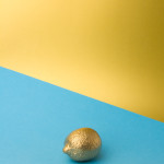 color morphology britzpetermann