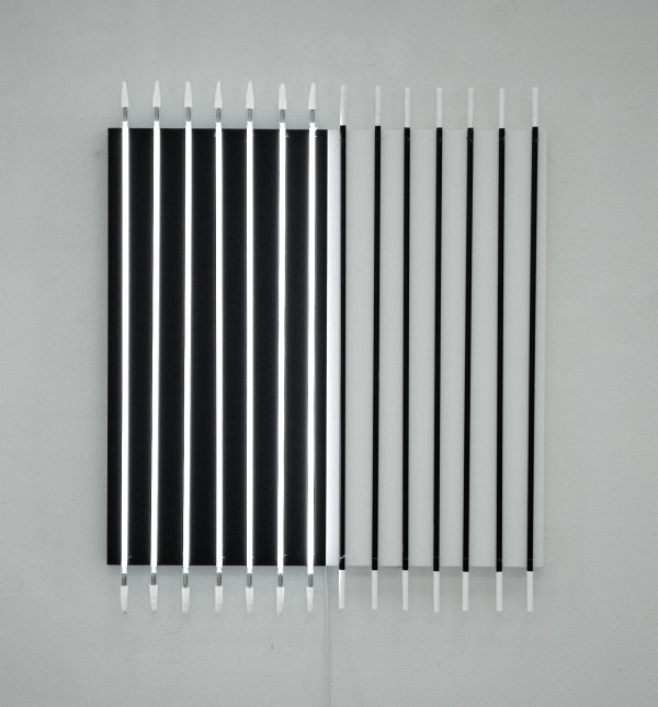 francois morellet