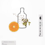 hedi xandt tush magazine