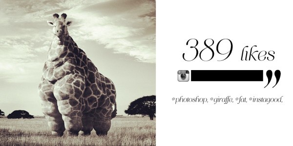 photoshop giraffe fat instagood