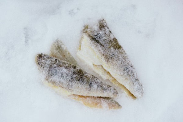 ice fishing recipe perch soup