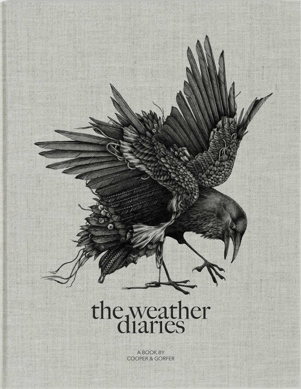 the weather diaries_book_cover