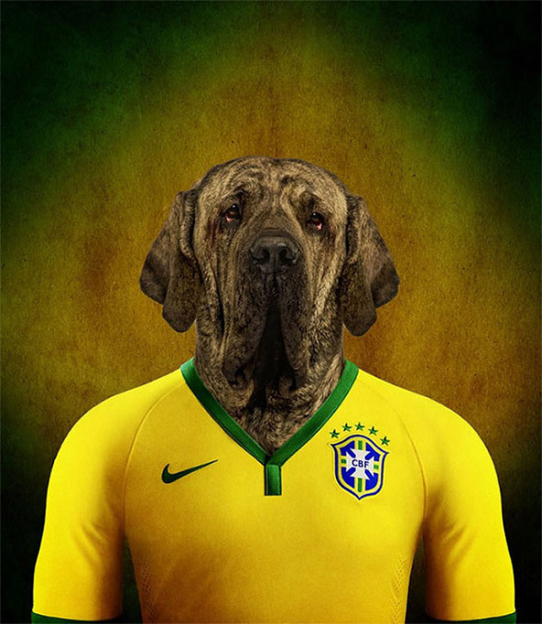 Dogs of World Cup Brazil