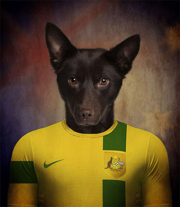 Dogs of World Cup Brazil