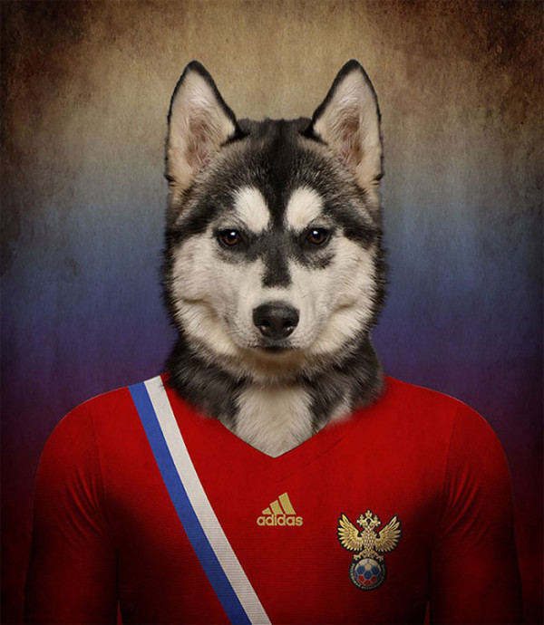 Dogs of World Cup Brazil