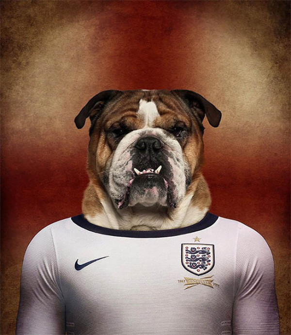 Dogs of World Cup Brazil