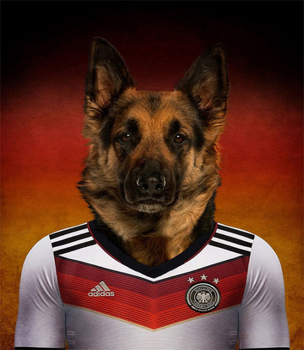 Dogs of World Cup Brazil