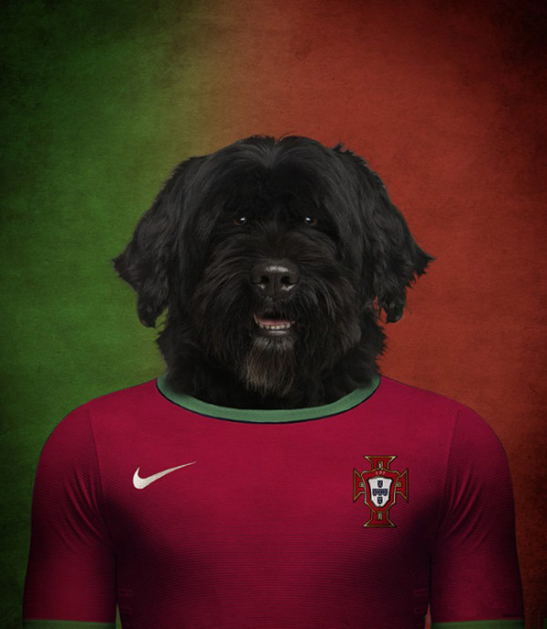 Dogs of World Cup Brazil