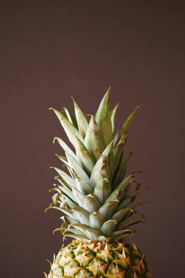 Pineapple Granita Chia Pudding