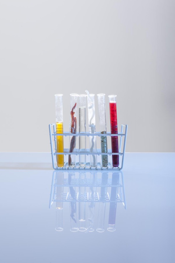 food pharmacy elin baarda photography wessel baarda