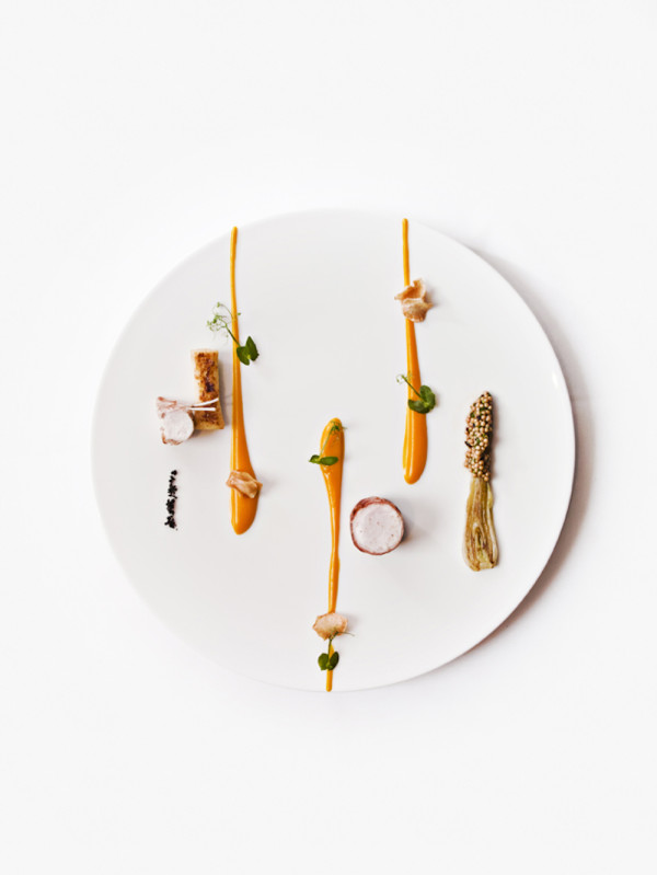 Art Of Plating AC Terrior