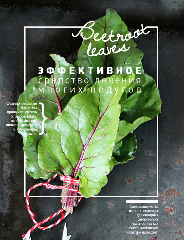 Kristina Razueva Food Posters Beetroot Leaves