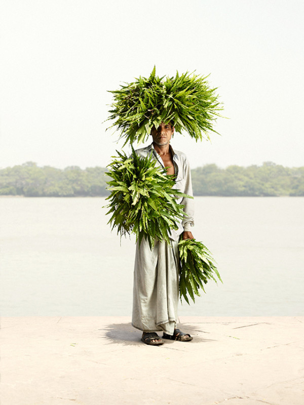 flower man by ken hermann