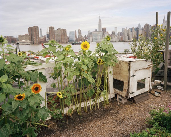 urban farming nyc photo by Rob Stephenson