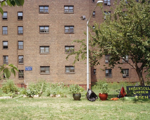 urban farming nyc photo by Rob Stephenson