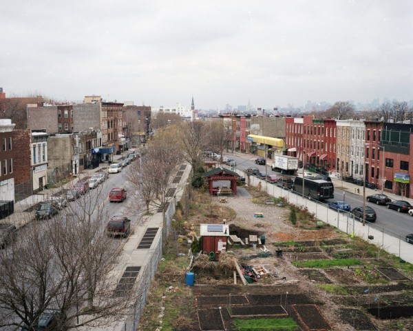 urban farming nyc photo by Rob Stephenson