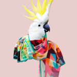 BLAZON_scarves TheEileen