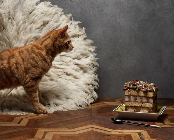 MWH_Gourmand_Cats_ _V copy