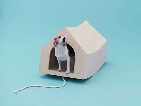 architecture for dogs