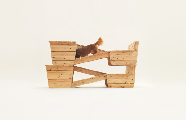 architecture for dogs