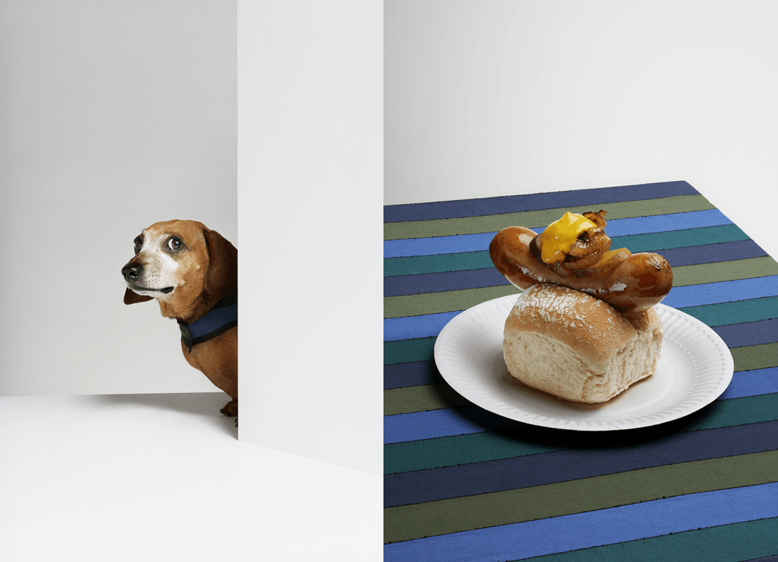 dogeatdog_photography_