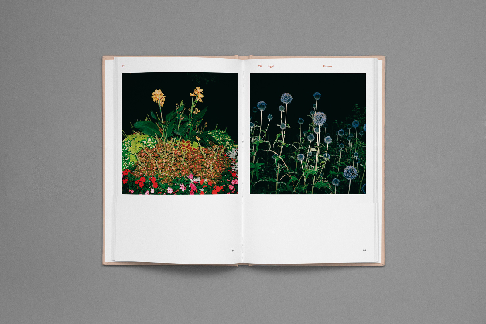strangeplants_book_