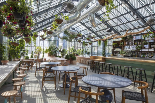 roy choi greenhouse ace hotel Downtown la