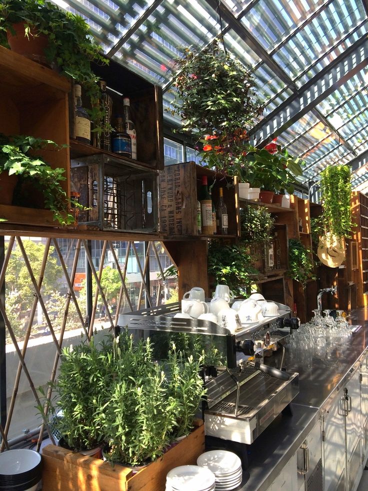 roy choi greenhouse ace hotel Downtown la